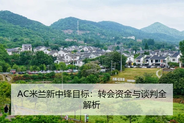 AC米兰新中锋目标：转会资金与谈判全解析